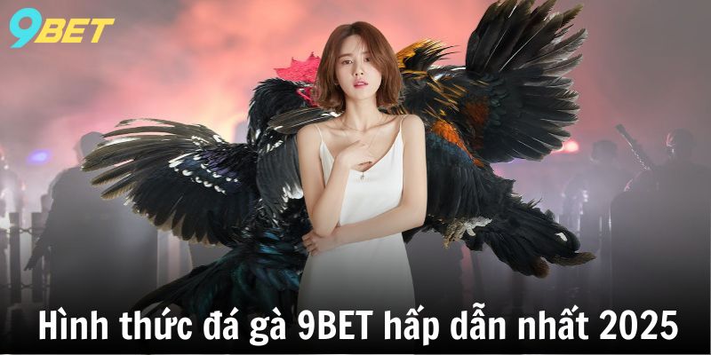 Hình thức đá gà 9BET hấp dẫn nhất 2025